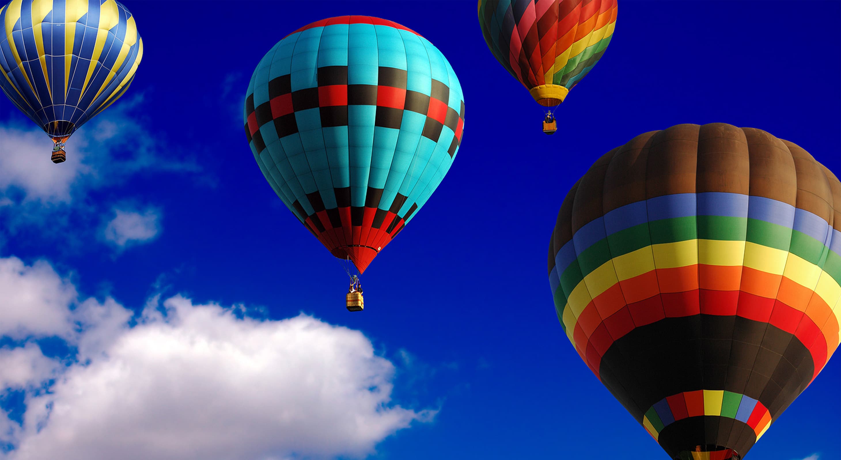 hot air balloons over Temecula Wine Country