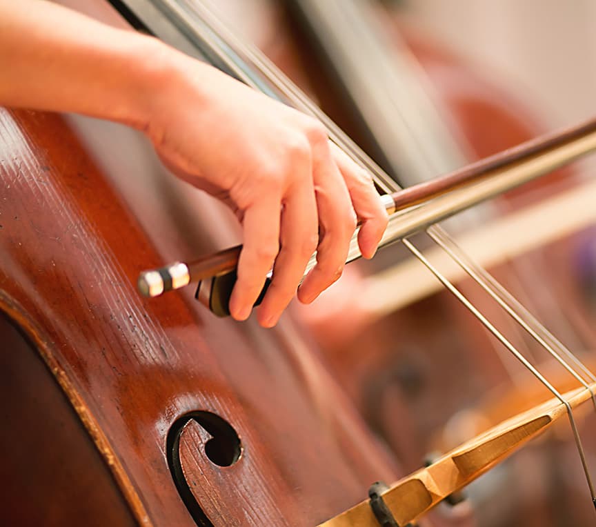 Cello Player Performing In A Symphony Orchestra