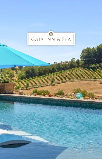 Pool with vineyard views at Gaia Inn and Spa in Temecula